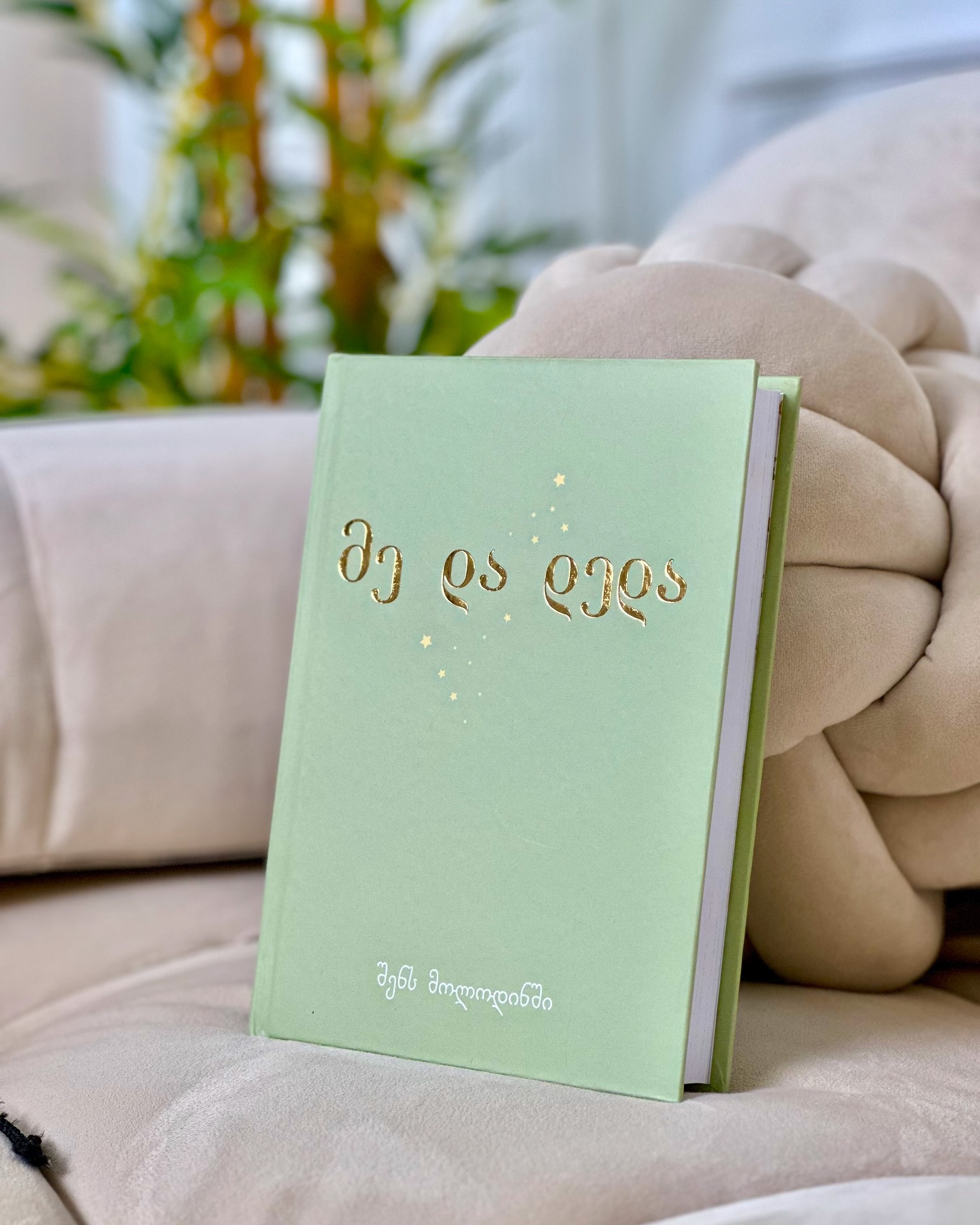 საჩუქარი ორსულისთვის – ორსულის დღიური „მე და დედა“